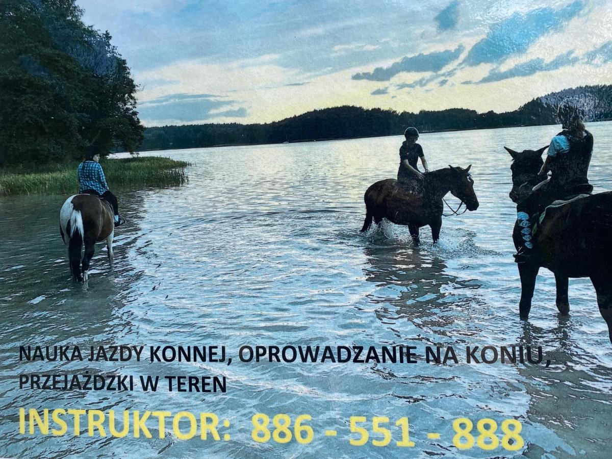 Domek Борск Экстерьер фото