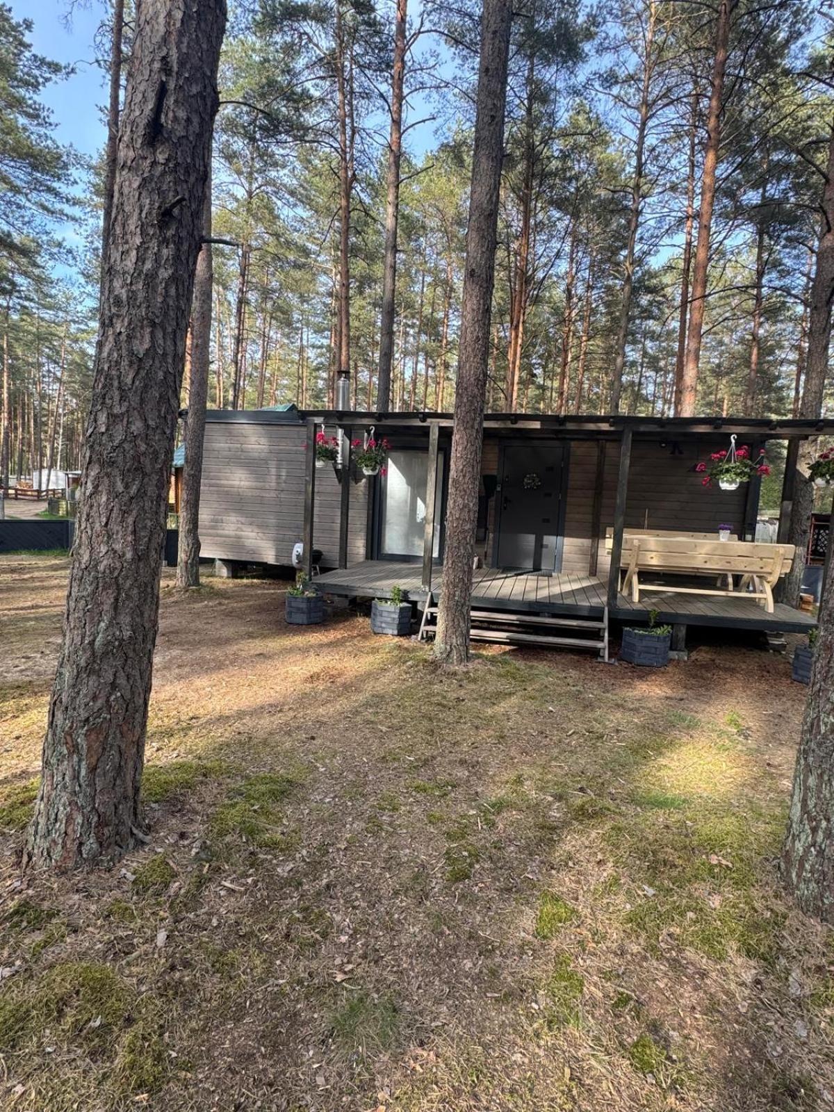 Domek Борск Экстерьер фото